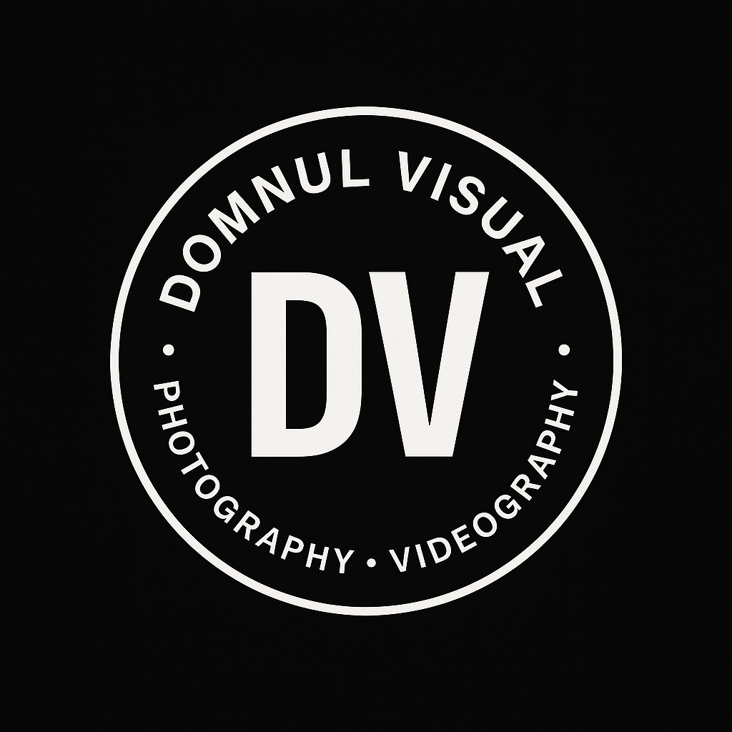 Domnul Visual logo